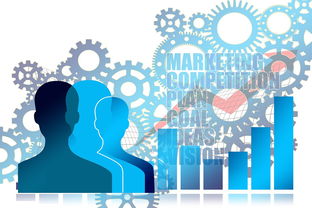 开云网站-中国篮球职业联赛市场营销创新策略研究，篮球训练营市场营销有关的案例