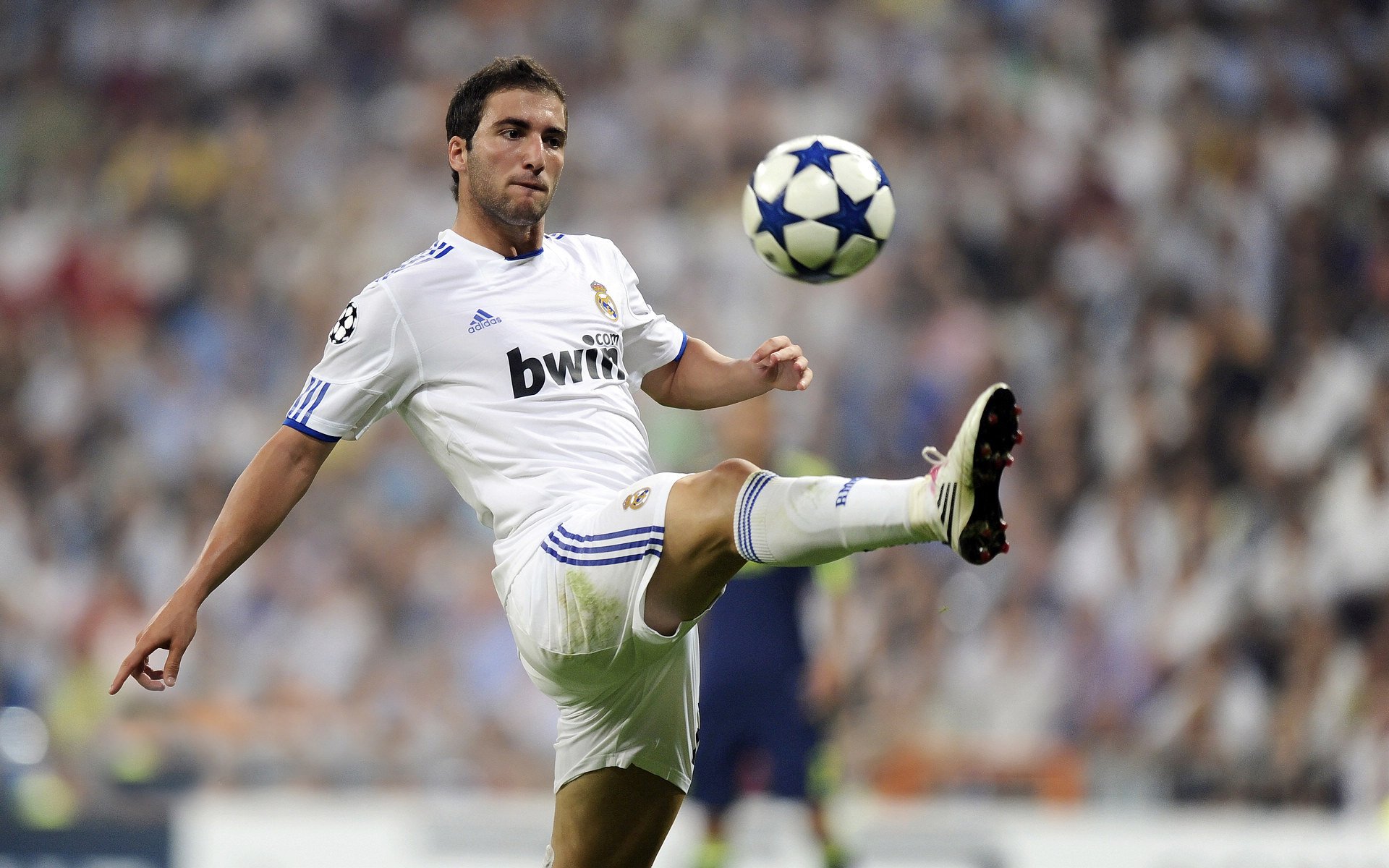 “埃尔斯·霍斯特：南非队防守的定海神针”